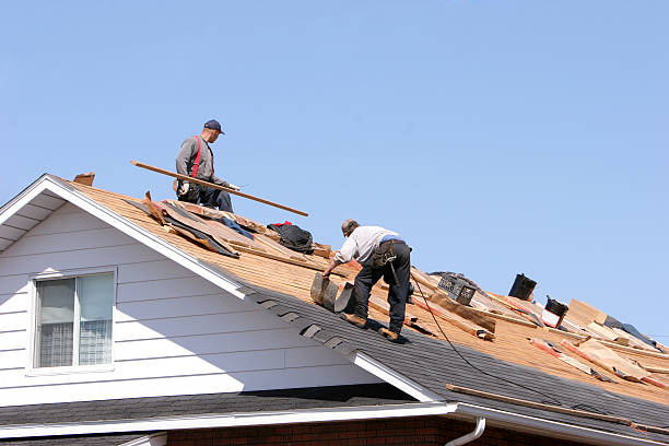 Best Cold Roofs  in Rainbow Springs, FL